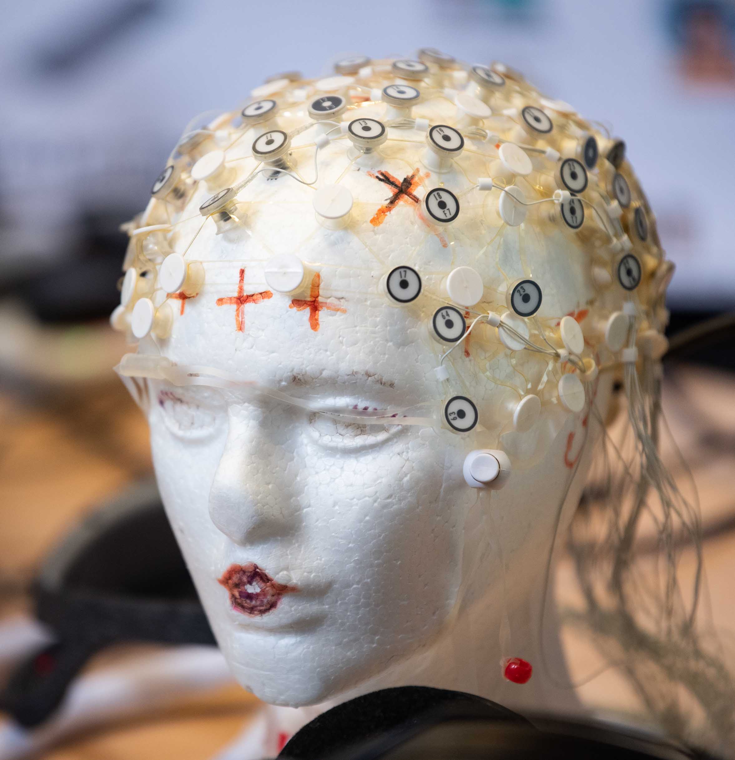 Sensory electrodes placed on replica human head